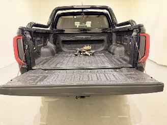 Volkswagen Amarok DC 3.0 TDI V6 PanAmericana 4Motion Aut10 picture 17