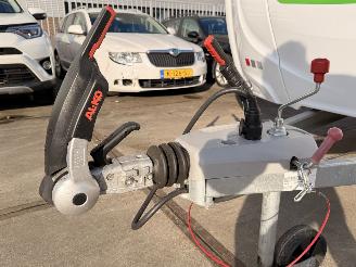 LMC  Munsterland 430D Sassino picture 15