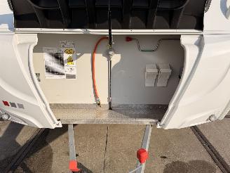 LMC  Munsterland 430D Sassino picture 16