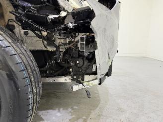 BMW X1 25e PHEV xDrive Aut7 Pano picture 12