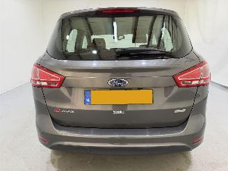 Ford B-Max 1.0 EcoBoost Titamium NAP picture 5