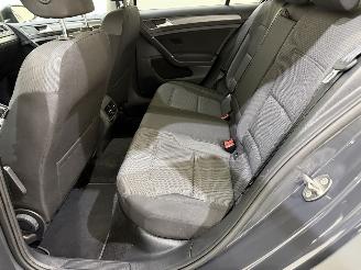 Volkswagen Golf e-Golf E-DITION Aut. picture 29