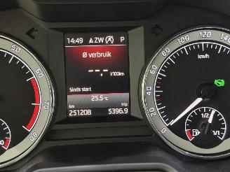 Skoda Octavia Combi 1.0 TSI Style Business Automaat picture 42