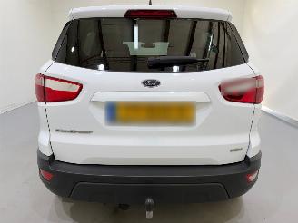 Ford EcoSport 1.0 EcoBoost Trend Ultimate picture 20