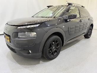 Citroën C4 cactus 1.2 PureTech 82 Business Plus picture 23