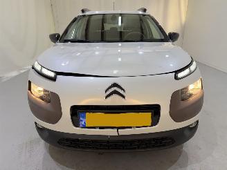 Citroën C4 cactus 1.2 PureTech 82 Shine Automaat picture 2