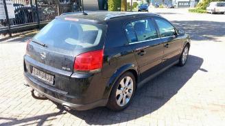 Opel Signum Signum (F48), Hatchback 5-drs, 2003 / 2008 3.2 V6 24V picture 7
