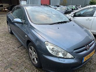 Peugeot 307 Cabriolet 2.0-16V picture 3