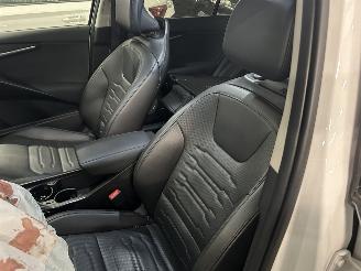 Kia e-Niro Dynamic Plus Line  64,8 kWh  Automaat picture 12