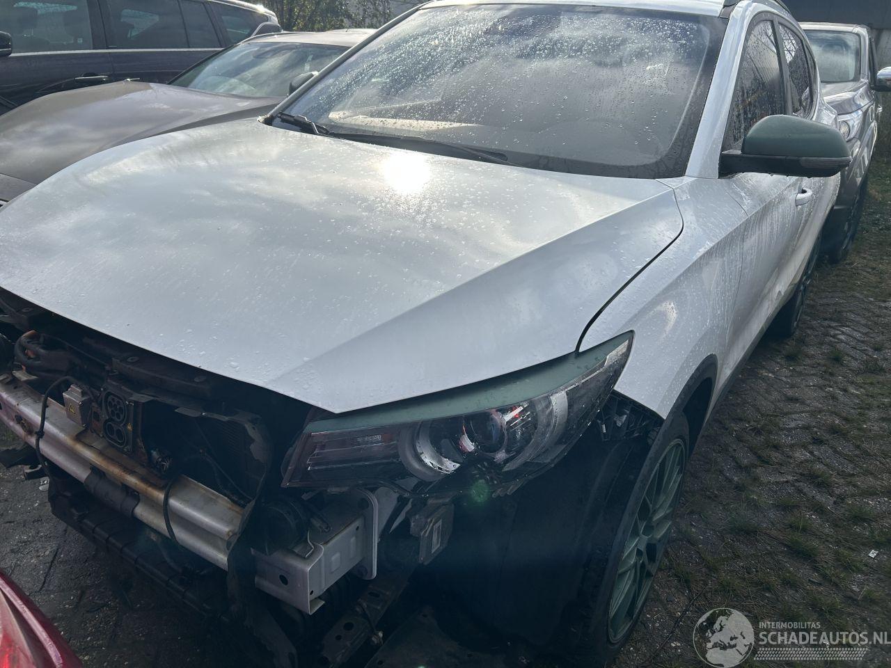 MG ZS EV Luxury  45 kWh