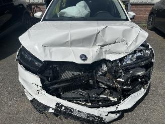 Skoda Fabia 1.0 TSI  Selection picture 2