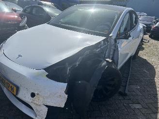  Tesla Model Y Bev Rear-Wheel Drive 2024/6