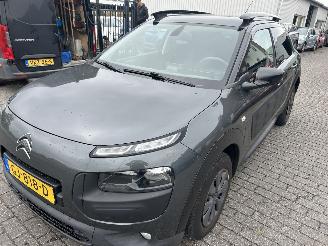 Citroën C4 cactus 1.6 BlueHDI picture 1