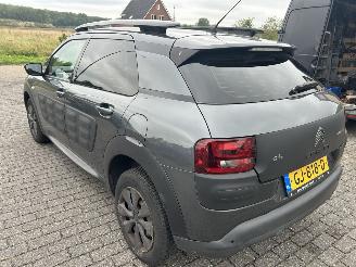 Citroën C4 cactus 1.6 BlueHDI picture 8