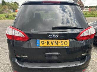 Ford Grand C-Max 1.0 Titanium  7 Persoons picture 6
