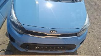Kia Picanto Picanto (JA), Hatchback, 2017 1.0 12V picture 3