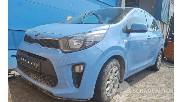 Kia Picanto Picanto (JA), Hatchback, 2017 1.0 12V