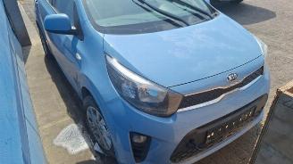 Kia Picanto Picanto (JA), Hatchback, 2017 1.0 12V picture 2