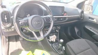 Kia Picanto Picanto (JA), Hatchback, 2017 1.0 12V picture 11