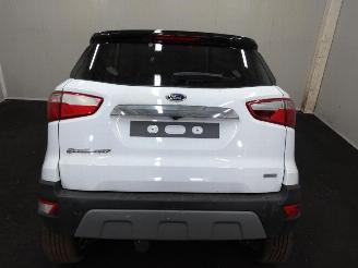 Ford EcoSport  picture 11