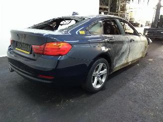 BMW 4-serie GRAN COUPE picture 7