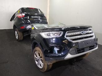 Ford Kuga  picture 1
