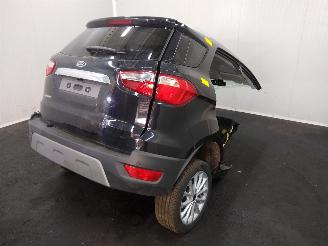 Ford EcoSport  picture 10