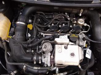 Ford Fiesta  picture 2
