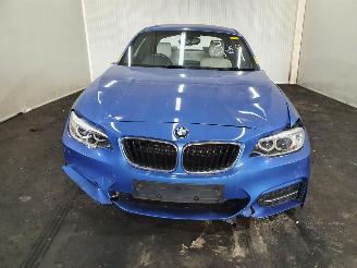 BMW 2-serie  picture 2