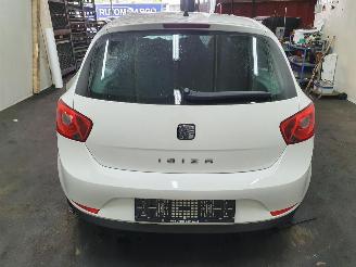 Seat Ibiza  picture 19