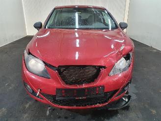 Seat Ibiza  picture 35