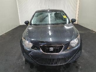 Seat Ibiza  picture 20