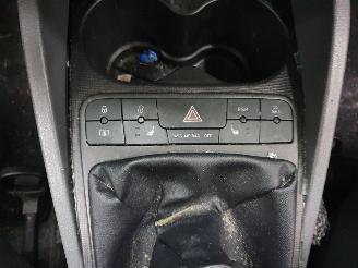 Seat Ibiza  picture 4