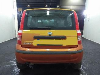 Fiat Panda Active picture 21