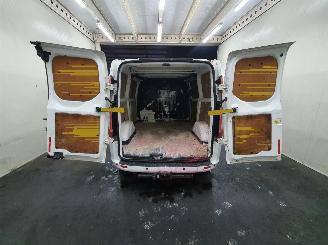 Ford Custom L1H1 picture 35