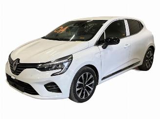 krockskadad bil bedrijf Renault Clio  2022/10