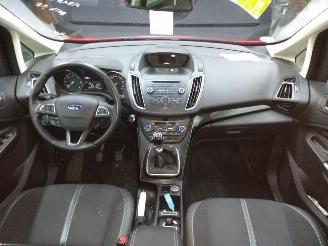 Ford Focus C-Max  picture 21