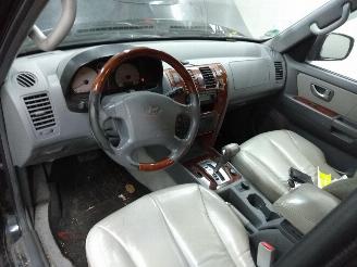 Hyundai Terracan  picture 8