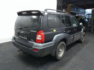 Hyundai Terracan  picture 5