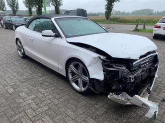 Audi A5 A5 Cabrio (8F7), Cabrio, 2009 / 2017 2.0 TFSI 16V picture 7