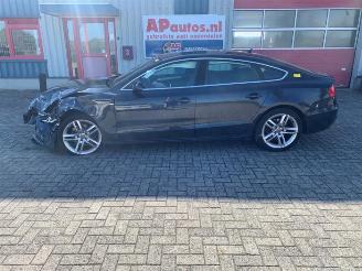 Audi A5 A5 Sportback (8TA), Liftback, 2009 / 2017 1.8 TFSI 16V picture 2