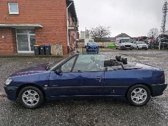 Peugeot 306 1.6 Cabrio picture 11