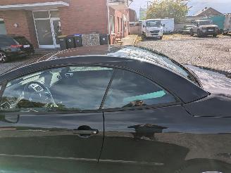 Peugeot 307 CC 2.0 picture 18