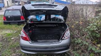 Peugeot 207 KTN picture 17