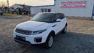 Autoverwertung Land Rover Range Rover Evoque JLR M66 2WD 2016/6