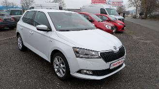 Skoda   picture 3