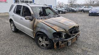 Mercedes M-klasse ML 270 picture 3