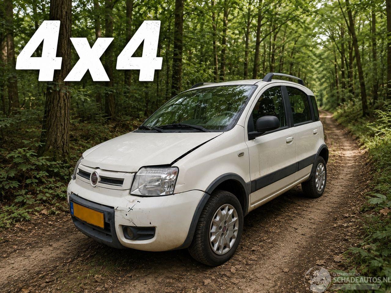 Fiat Panda 1.2 Climbing 4x4