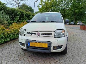 Fiat Panda 1.2 Climbing 4x4 picture 15