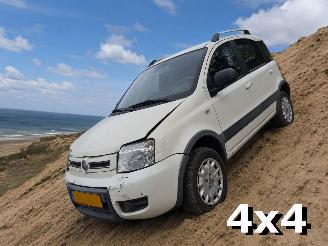 Auto incidentate Fiat Panda 1.2 Climbing 4x4 2010/4